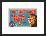 Ringling Bros. Circus Lion framed poster