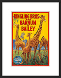 Ringling Bros. Circus Giraffe framed poster