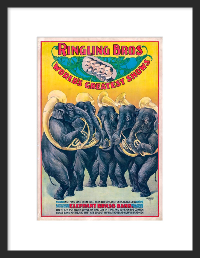 Elephant Brass Band