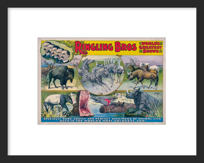 World's Most Colossal Zoo
