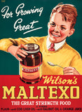 Wilson's Maltexo: For Growing Great