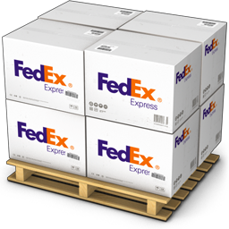 Expedited Domestic Shipping