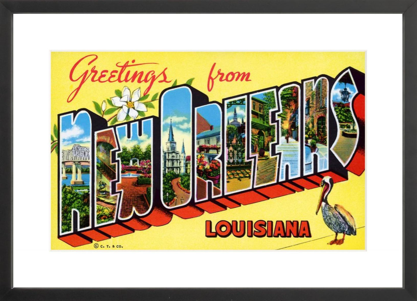 Greetings from New Orleans Postcard