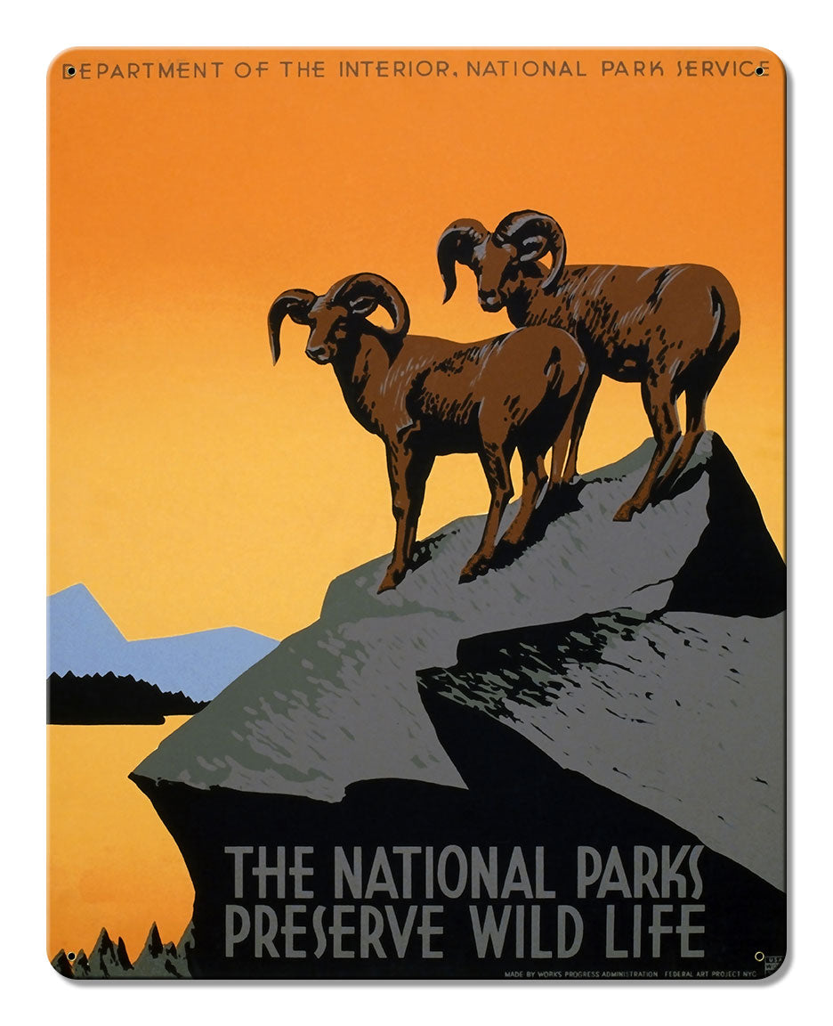 National Parks Preserve Wild Life Big Horn Sheep Aluminum
