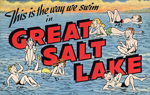 Great Salt Lake Postcard