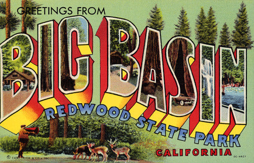 Greetings from Big Basin