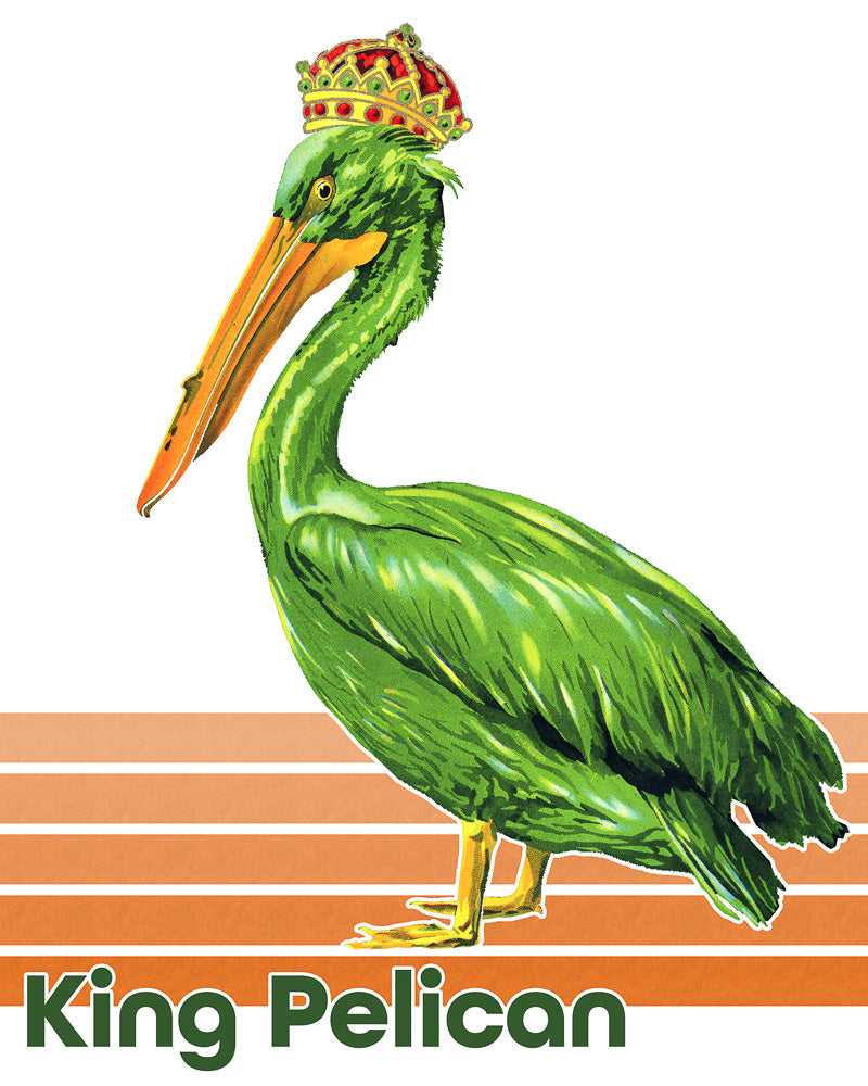 King Pelican Contemporary