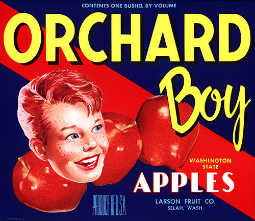 Orchard Boy Apples