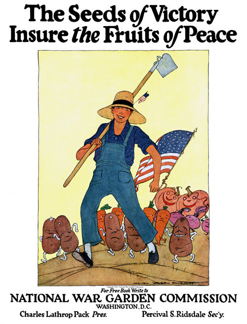 The Seeds of Victory – Vintagraph Art