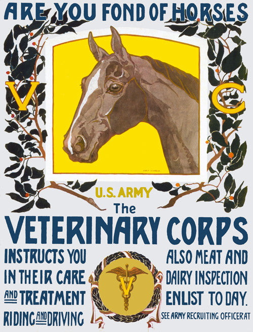 Are You Fond of Horses?