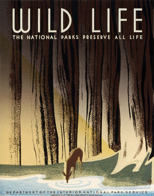 Wild Life: The National Parks Preserve All Life – Vintagraph Art