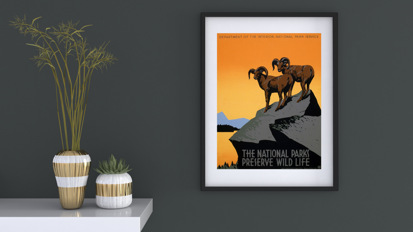 National Parks Preserve Wild Life Big Horn Sheep framed on wall