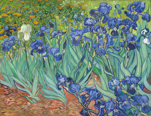 Irises by Vincent van Gogh