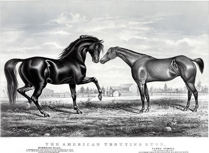 American Trotting Stud