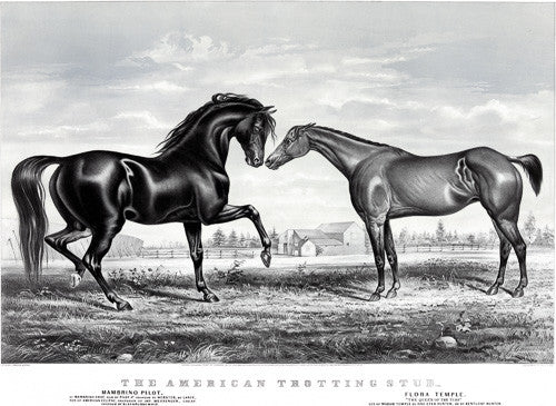 American Trotting Stud