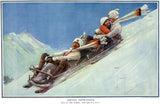 Snow Sled: Obeying Instructions
