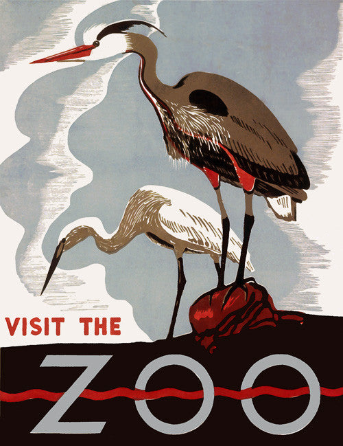 Visit the Zoo