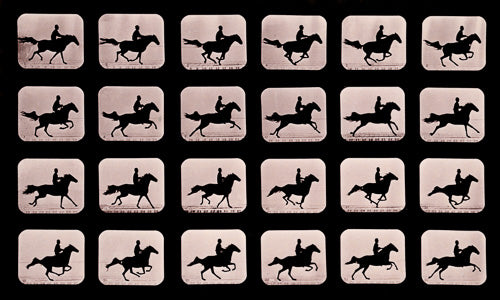 Eadweard Muybridge horse in motion