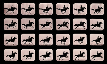 Eadweard Muybridge horse in motion