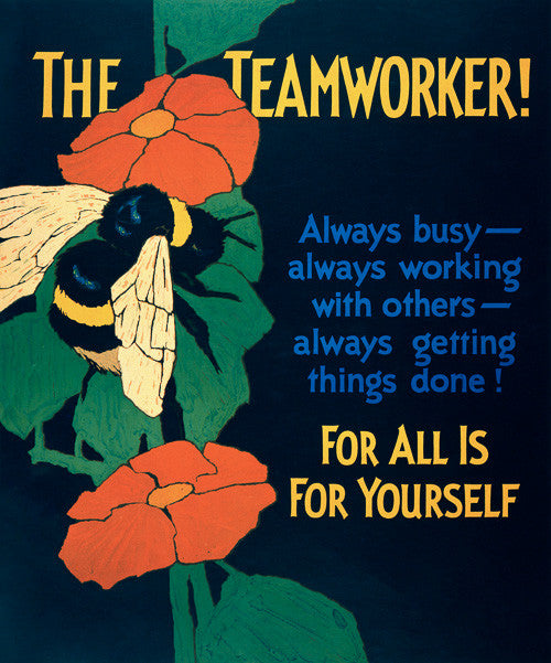 The Teamworker!