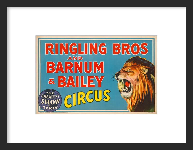 Ringling Bros. Circus Lion framed poster