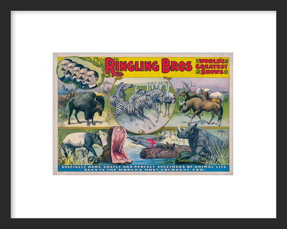 World's Most Colossal Zoo
