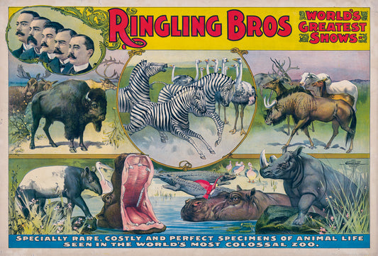 World's Most Colossal Zoo