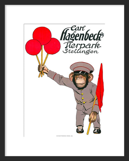 Carl Hagenbeck's Tierpark Stellingen (Chimpanzee)