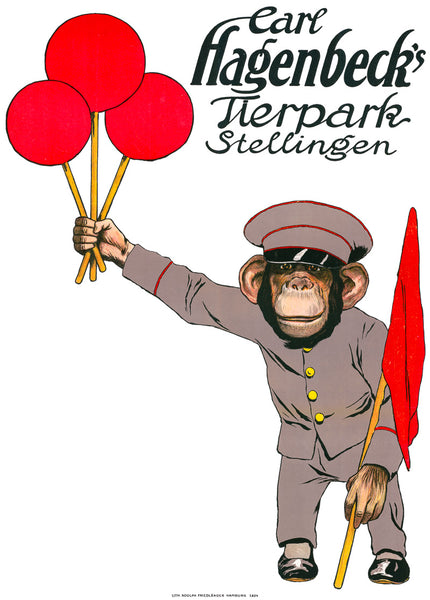 Carl Hagenbeck's Tierpark Stellingen (Chimpanzee)