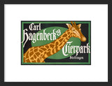 Carl Hagenbeck's Tierpark Stellingen giraffe framed poster