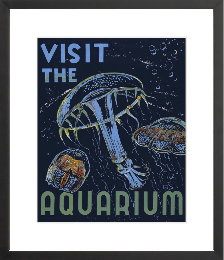 Visit the Aquarium