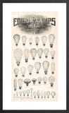 Edison Lamps