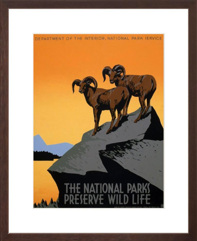 National Parks Preserve Wild Life Big Horn Sheep – Vintagraph Art