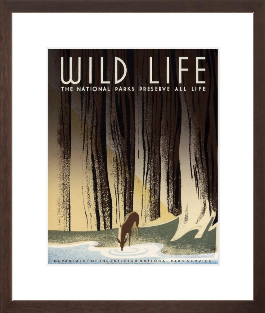 Wild Life: The National Parks Preserve All Life – Vintagraph Art