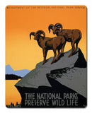National Parks Preserve Wild Life Big Horn Sheep metal sign