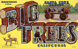 Greetings from Big Trees California