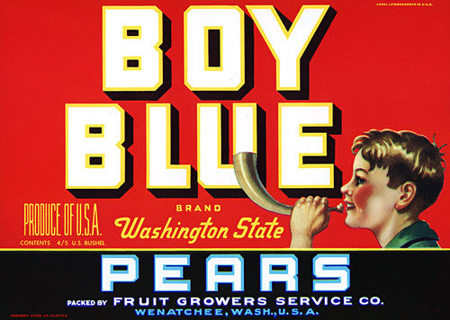 Boy Blue Pears