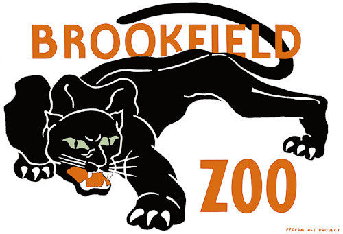 Brookfield Zoo Leopard