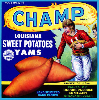 Champ Yams
