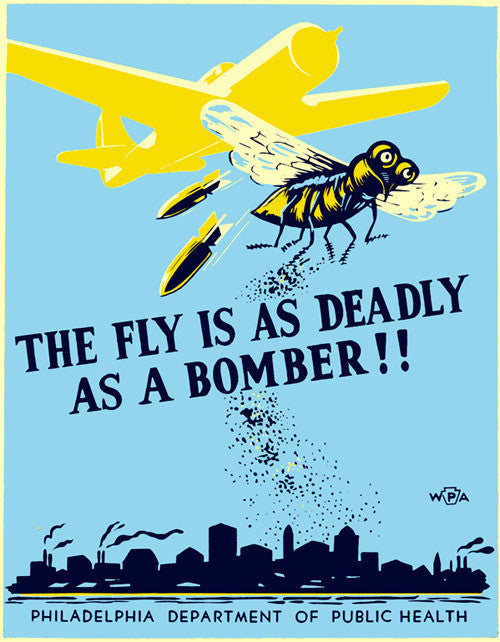 The fly is as deadly as a bomber!!