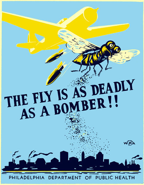 The fly is as deadly as a bomber!!
