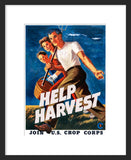 Help Harvest - Join U.S. Crop Corps framed poster