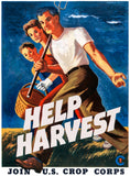 Help Harvest - Join U.S. Crop Corps poster