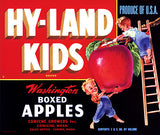 Hy-Land Kids Apples