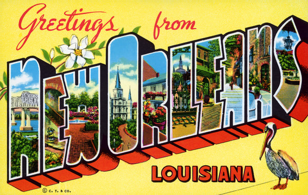 Greetings from New Orleans Postcard