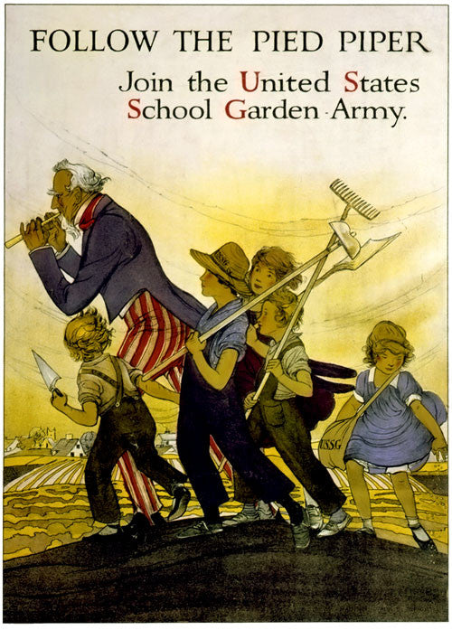 Follow the Pied Piper