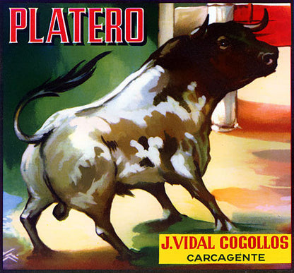 Platero Carcagente