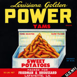Louisiana Golden Power Yams