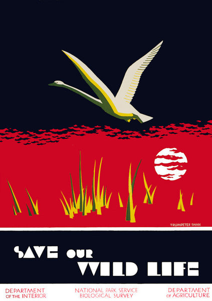 Save our Wild Life National Park poster.