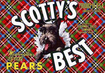 Scottys Best Pears
